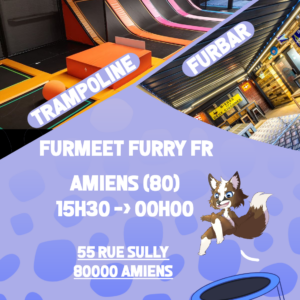 Ticket - FURMEET FURRY FR